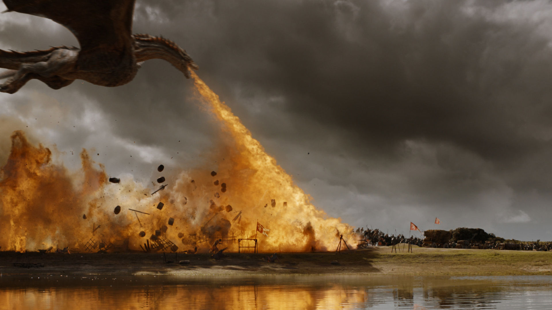 The dragons